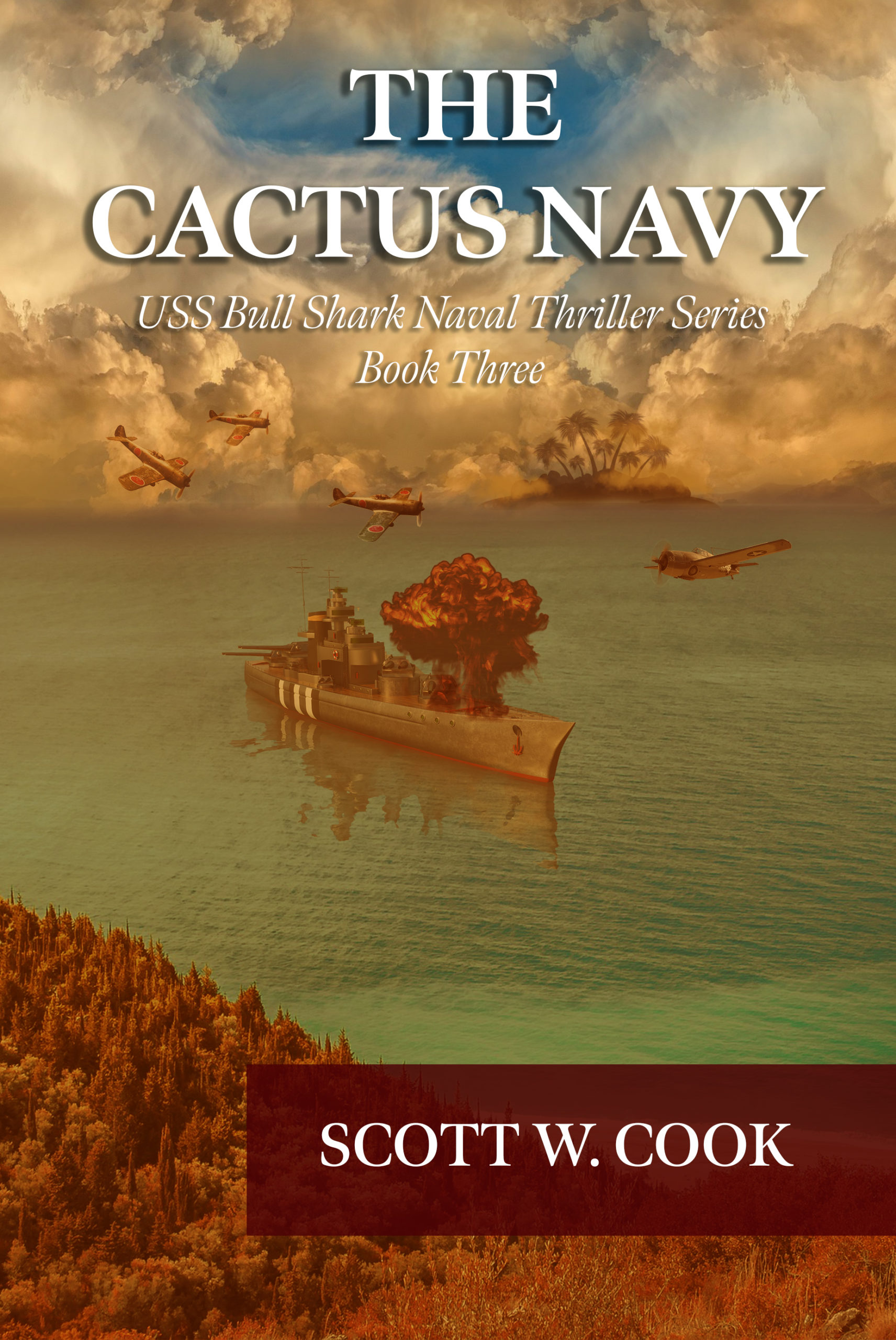 The Cactus Navy